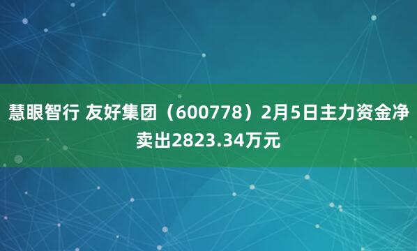 慧眼智行 友好集团（600778）2月5日主力资金净卖出2823.34万元