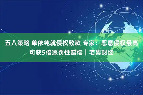 五八策略 单依纯就侵权致歉 专家：恶意侵权最高可获5倍惩罚性赔偿｜宅男财经