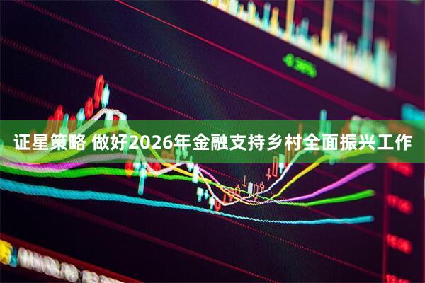 证星策略 做好2026年金融支持乡村全面振兴工作
