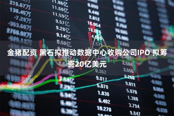 金猪配资 黑石拟推动数据中心收购公司IPO 拟筹资20亿美元